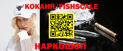 дмт Славгород