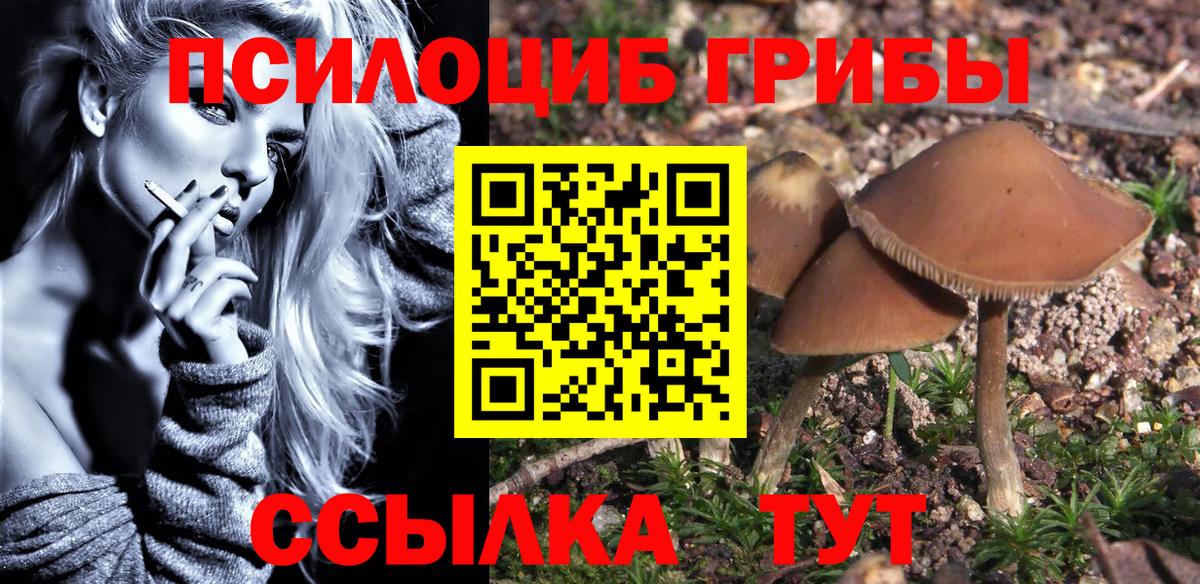 Псилоцибиновые грибы MAGIC MUSHROOMS  Вход с VPN  Можайск  Галлюциногенные грибы GOLDEN TEACHER 